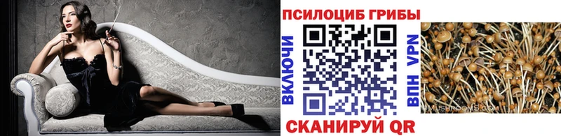 Псилоцибиновые грибы MAGIC MUSHROOMS  Бикин 